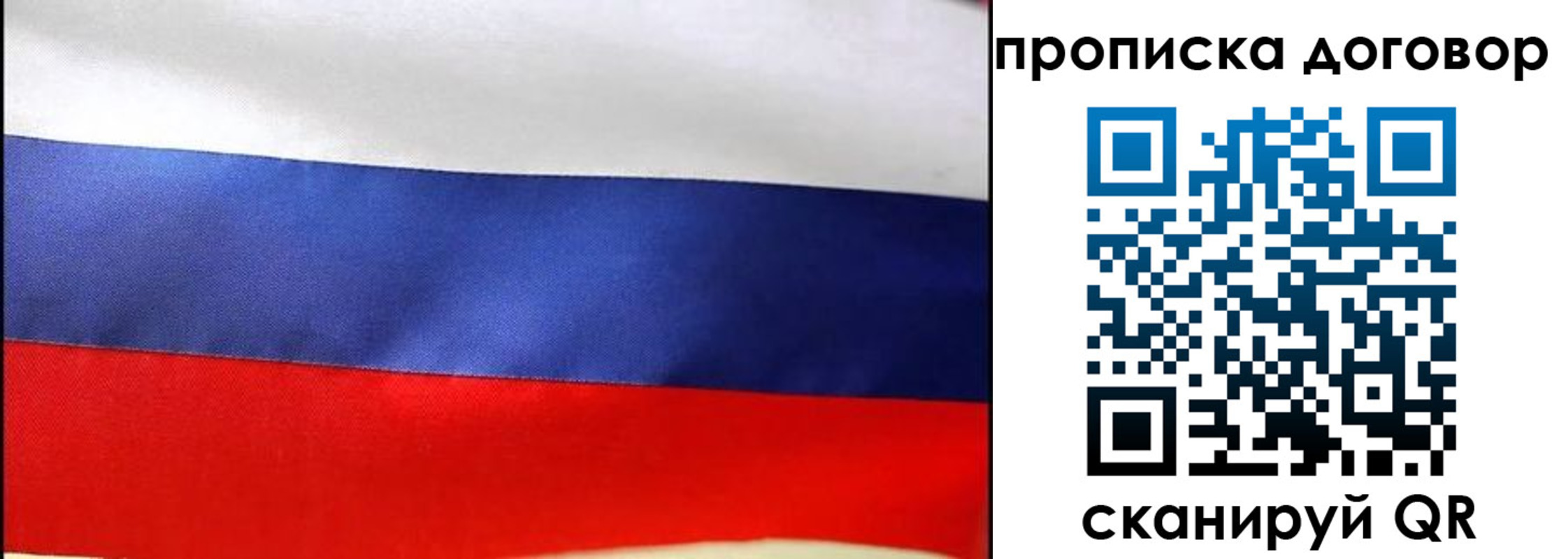 прописка гарантия в Кировске