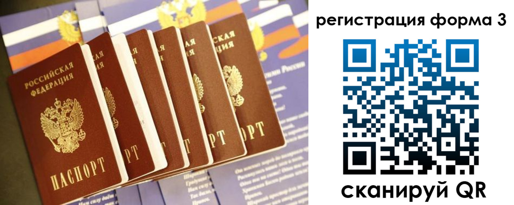 прописка поиск в Кировске