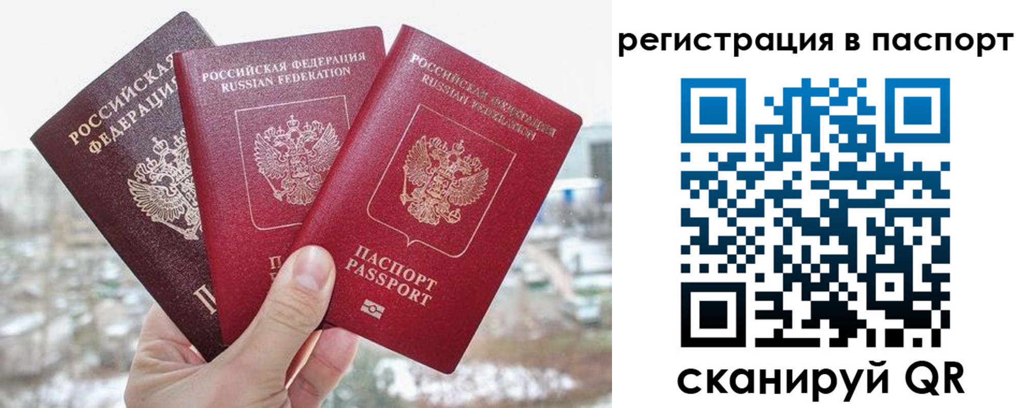 регистрация для школы в Кировске